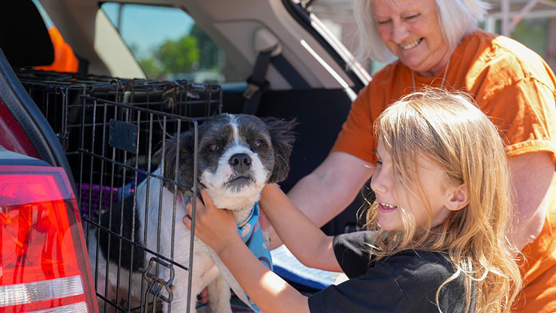 A volunteer and a child smile while petting a dog