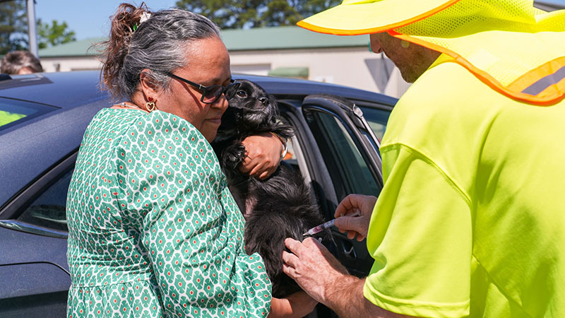 A volunteer administers a shot to a small dog while in its owner's arms