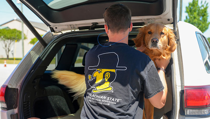 A golden retriever receives attention in the back of an SUV