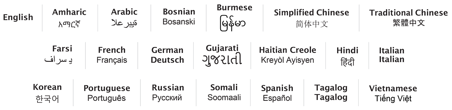 Multi-language support and non-discrimination notice icons