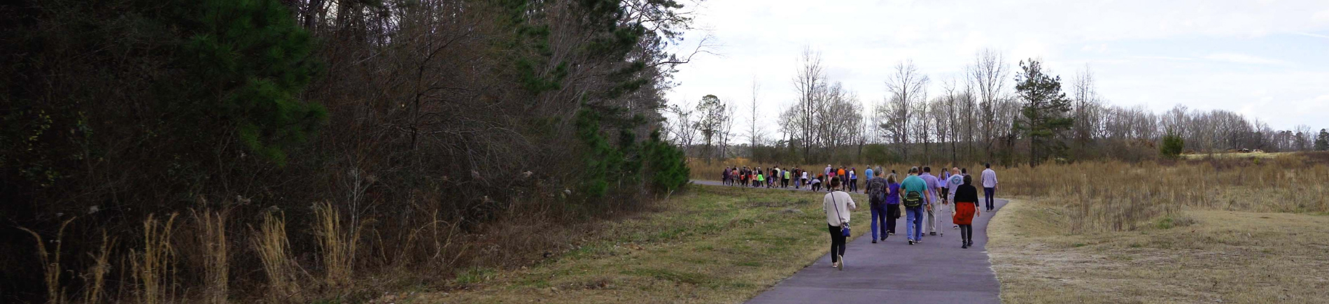 Hiking the County Walkways