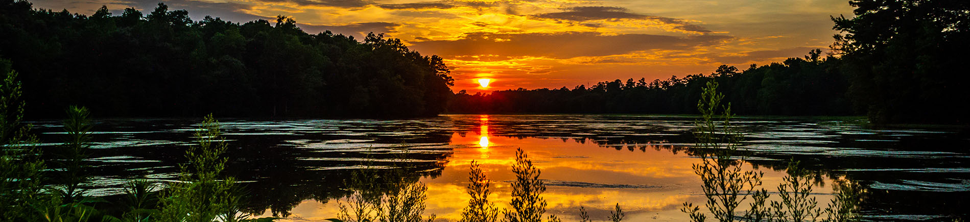 Johnston County Sunset