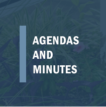 Agendas and Minutes