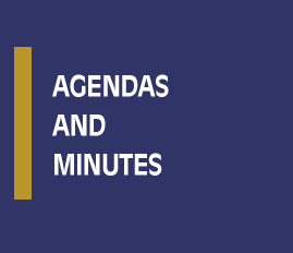 Agendas and Minutes