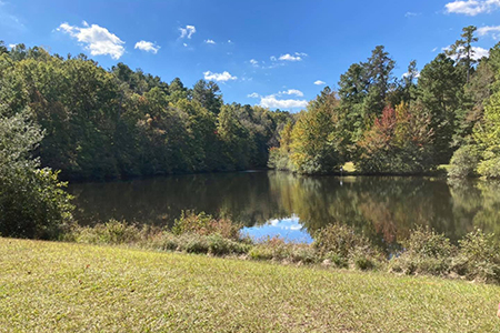 Retention pond in the middle of the forest