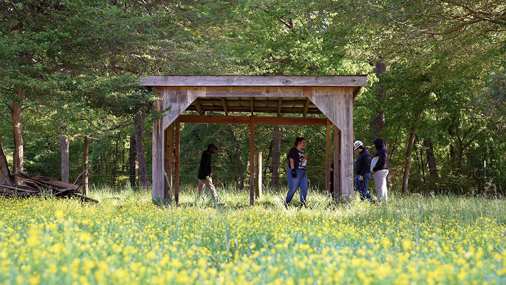 Students working under an old structure with yellow wildflowers in bloom 