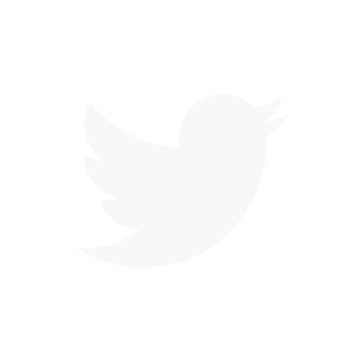 twitter logo